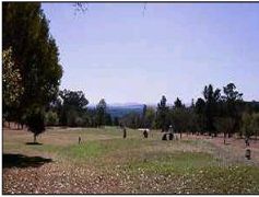 Bryanston Country Club