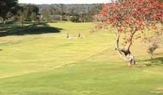 Port Elizabeth Golf Club