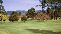 Knysna Golf Club