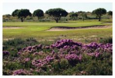 Langebaan Golf Club