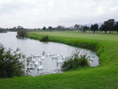 Parow Golf Club