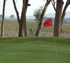 Stellenbosch Golf Club