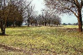 Soweto Country Club
