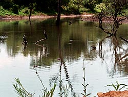Waterberg