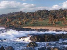 Ekubo Coastal Estate