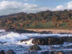 Ekubo Coastal Estate