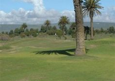 Shelley Point Golf Club