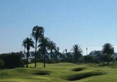 Shelley Point Golf Club