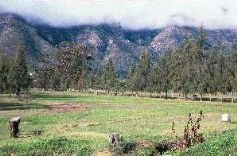 Porterville Golf Club 
