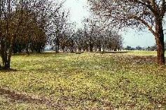 Soweto Country Club